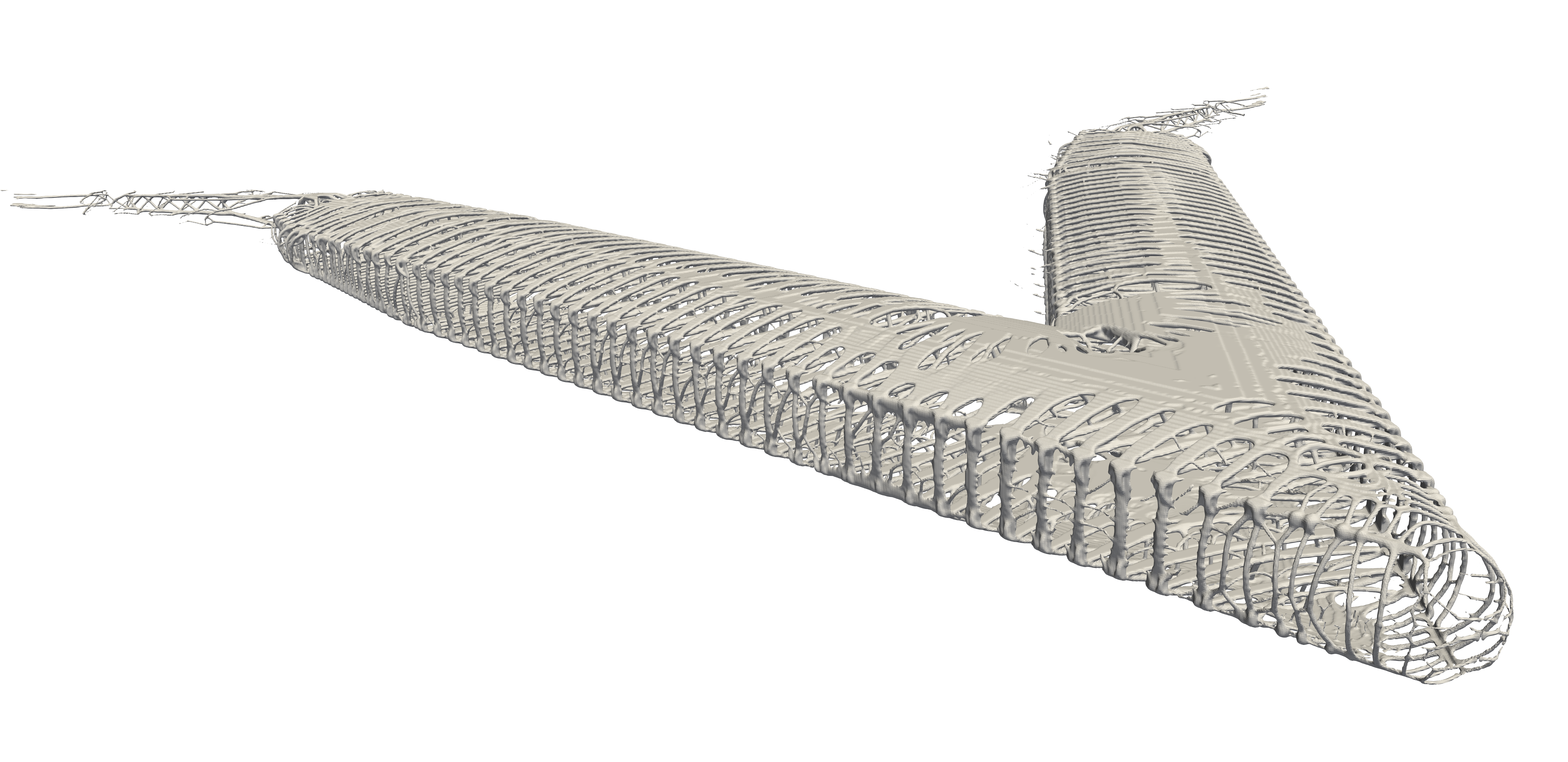 Topology optimization
            of the Flying-V airplane