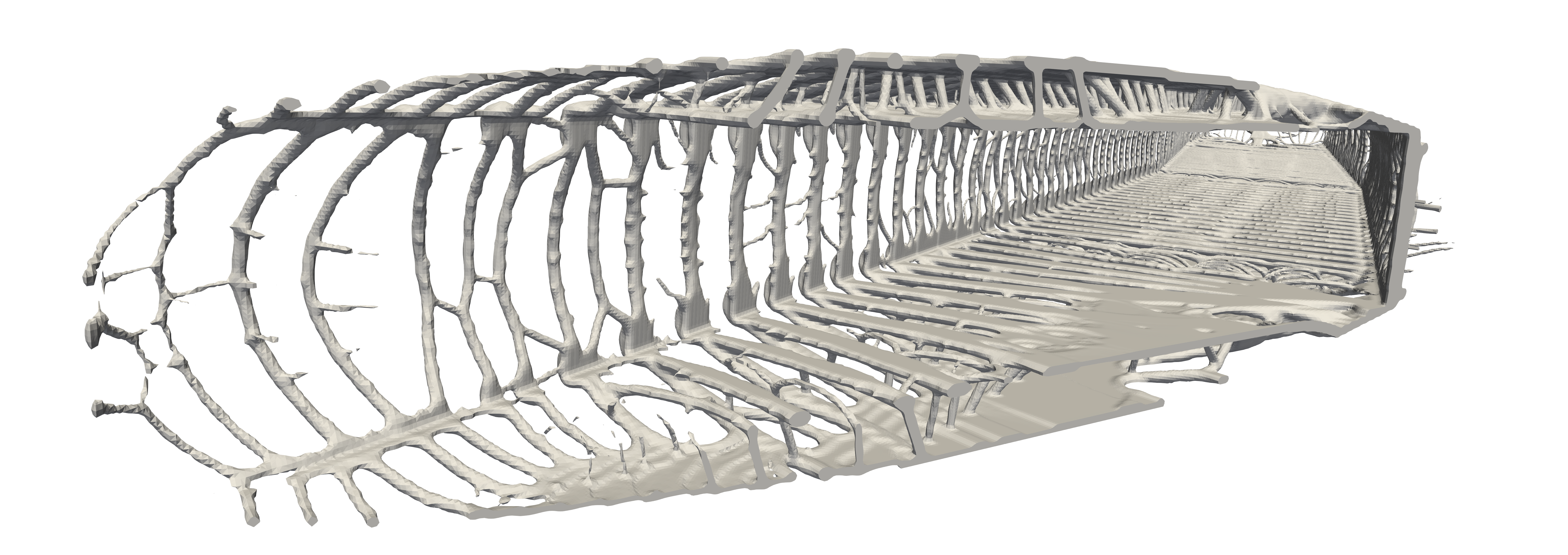 Topology optimization
            of the Flying-V airplane